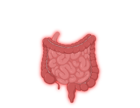 How we harness The Power of Space and Artificial Intelligence