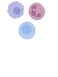 How we harness The Power of Space and Artificial Intelligence