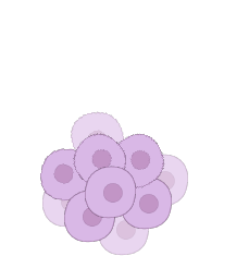 How we harness The Power of Space and Artificial Intelligence